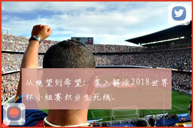 从绝望到希望：深入解读2018世界杯小组赛积分生死线。