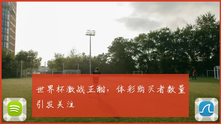 世界杯激战正酣，体彩购买者数量引发关注
