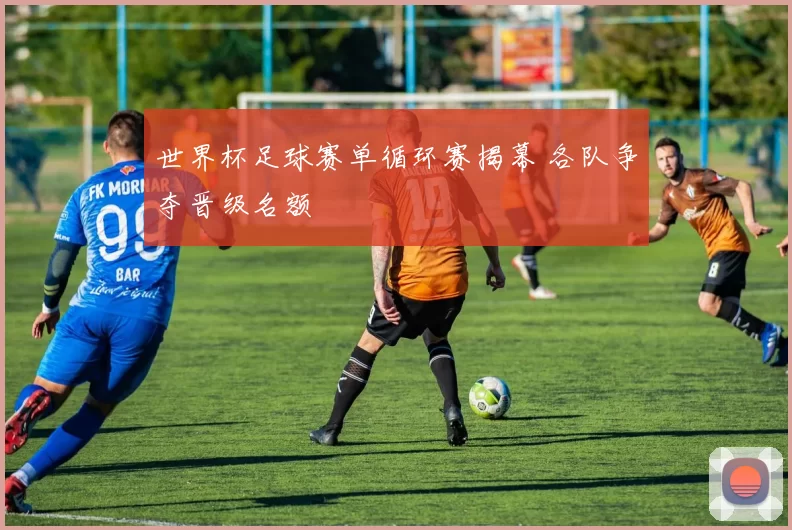 世界杯足球赛单循环赛揭幕 各队争夺晋级名额