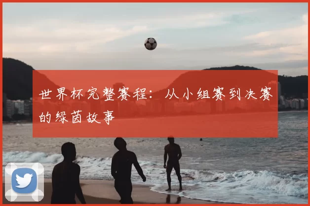 世界杯完整赛程:从小组赛到决赛的绿茵故事